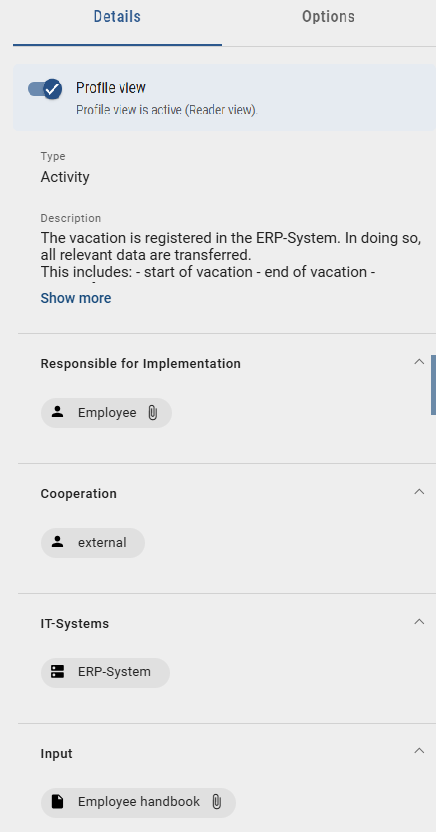 The screenshot shows the properties of the diagram in the process execution view.