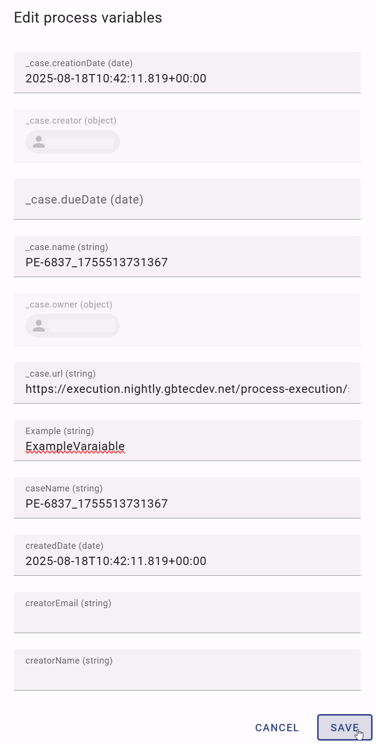 The screenshot shows a dialog that contains all process variables of a case.